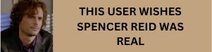 This user wishes spencer reid was real